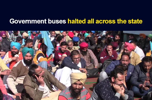 GOVERNMENT BUSES HALTED