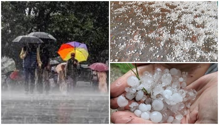 download - 2026-01-27T141014.567