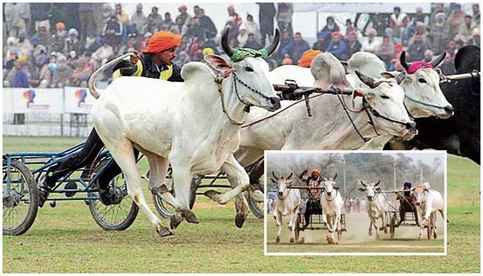 download - 2026-01-28T170653.091