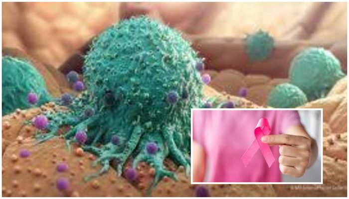 download - 2026-02-04T105112.048